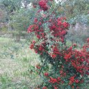 고흥군상하수도사업소 이미지