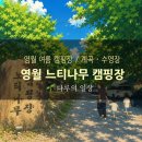 영월 느티나무캠핑장 후기｜계곡·수영장 모두 만족한 영월 가족 캠핑장