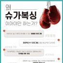 슈가복싱 프리미엄 이미지