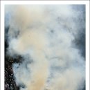 회귀(回歸) 이미지