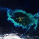 CW-1410-01 이미지