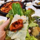 양지쌈밥 티스토리
