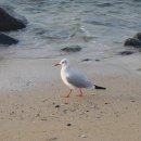 바닷가 사진관 이미지