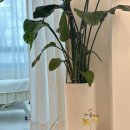 동탄감배산로 이미지