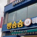 빵숑숑 네이버블로그