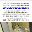 도마스이비인후과의원 이미지