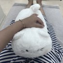 경기광주슈가링왁싱 털다에서 브라질리언왁싱 비키니라인 후기