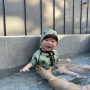 월화엔 독채펜션 이미지