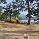 댕이랑 | [반려견 포유의 진심리뷰] 간식인 줄 알았는데 관절 영양제라고? 댕이수랏간 찐 후기 멍!