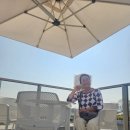 경춘식당 | 심천 경춘박문 채식 식당 후기