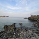 바다소리모텔 | 포항 바다낚시 펜션, 주말 7만원에 1층 베란다에서 원투낚시를 즐기는곳 포인트 공유