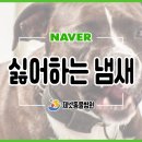 부산동물병원 제넷 이미지