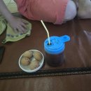 찐이닭 | 202511_일상