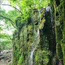 뒷골2로 이미지