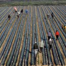 의령남강 이미지