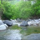 항골계곡 이미지