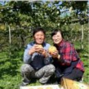 서씨농장 이미지