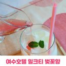 비오는 주말 색다른 여수여행 디오션호텔