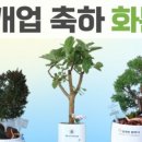 채움행정사사무실