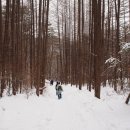 제188차 정기산행 강원평창 계방산(1,577m) 이미지