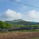 화령분소 이미지