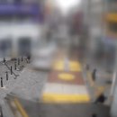 수원역 마약 투약 여성 CCTV 화면.gif 이미지