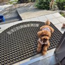 가평솔마당 이미지