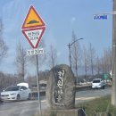 경주한옥마을 | 경주 애견동반 펜션 추천｜한옥 천원마을 내돈내산 솔직후기 (가성비 숙소)