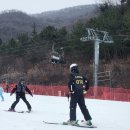 리틀짐 태권스쿨 | 곤지암 스키강습 어린이 유아 스키강습학교