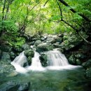 사자봉민박 이미지