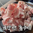 단골집오리돌판구이 | [포항 양덕 삼겹살 맛집] 돌판에 구워 더 맛있는 금강산돌구이 양덕점 후기