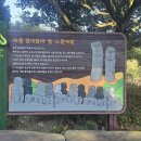 소로3-152 | 송당 당오름과 둔지오름 — 신들의 땅을 걷다