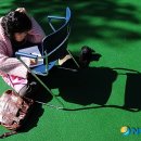 마로니에시근린공원 이미지