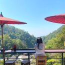 사무실용 건축물 방배동 445-5 | 치앙마이 가볼 만한 곳 매캄퐁 가는 법 당일치기 여행 추천