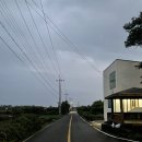 스테이느으린 이미지