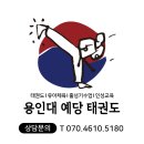 용인대 예당 태권도장 이미지
