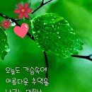 정(情) - 사랑과 이미지