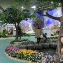 신화펜션 이미지