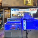 본가 | 구래동 횟집 오징어본가 솔직후기 오징어사시미 맛집