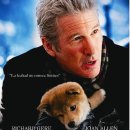 어나더153애견펜션 이미지