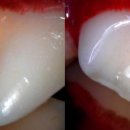 고강동물병원 이미지