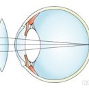 눈에빛안경콘택트 이미지