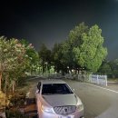 탑피자 벌교점 이미지