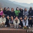 소풍애견미용 이미지