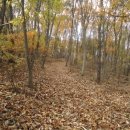 곤지암읍-10 이미지