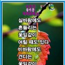 실바람 이미지