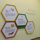 꿀벌체험장 이미지