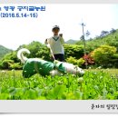 궁지골농원 이미지