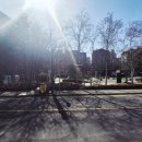 119호어린이공원 | 장기동라멘 맛집! 쿠자쿠.. 돈코츠라멘.. 드셔야겠습니다!!