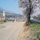 자천초등학교보현분교장 이미지